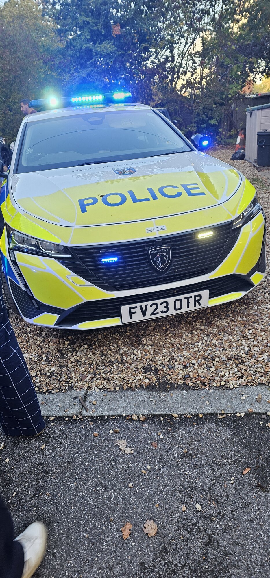 Kingfishers and Swifts Beavers and Wrens Squirrels get a visit from the Police